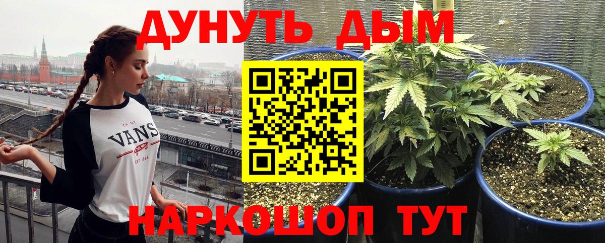 Дзержинск  МАРИХУАНА ГИДРОПОН  Каннабис ГИДРОПОН  Вход с VPN  Канабис план 